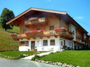 Apartment Gaisbergmoos, Kirchberg In Tirol, Österreich